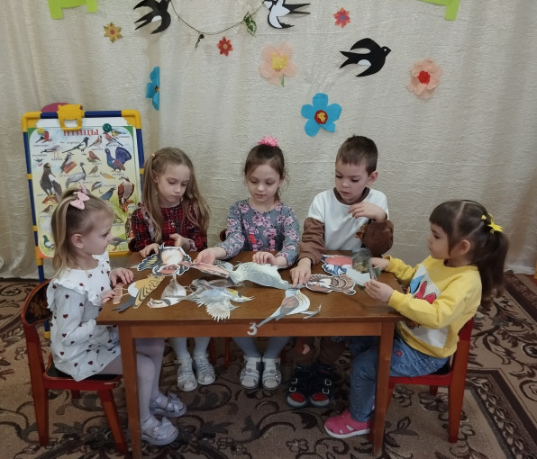 Пернатые друзья Пернатые друзья.